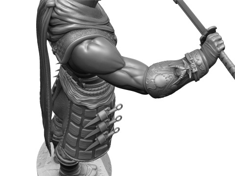 RYU HAYABUSA Ninja Gaiden with a sword for 3D printing STL 3D 打印模型