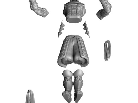 RYU HAYABUSA Ninja Gaiden with a sword for 3D printing STL 3D 打印模型