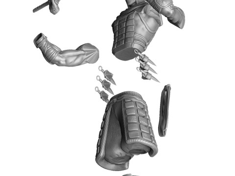 RYU HAYABUSA Ninja Gaiden with a sword for 3D printing STL 3D 打印模型