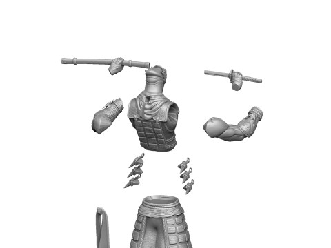 RYU HAYABUSA Ninja Gaiden with a sword for 3D printing STL 3D 打印模型