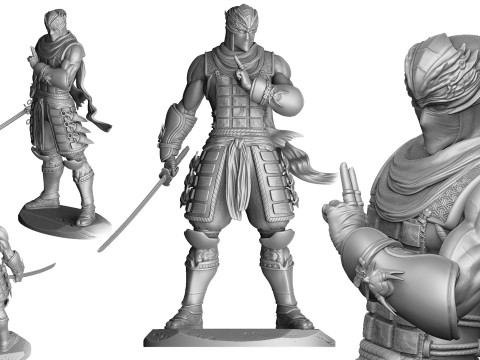 RYU HAYABUSA Ninja Gaiden with a sword 2 options for 3D printing STL 3D प्रिंट मॉडल
