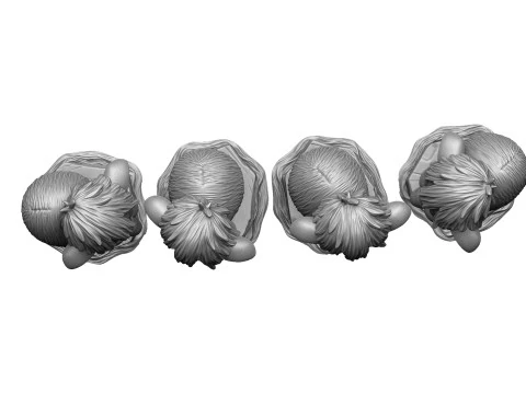 Baby mammoth 4 options for 3D printing STL 3D Print Model