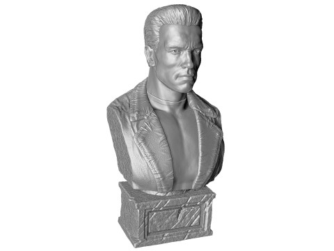Arnold Schwarzenegger BUST for 3D printing STL 3D Print Model