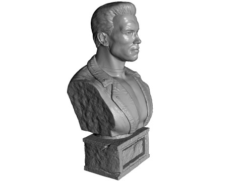 Arnold Schwarzenegger BUST for 3D printing STL 3Dプリントモデル