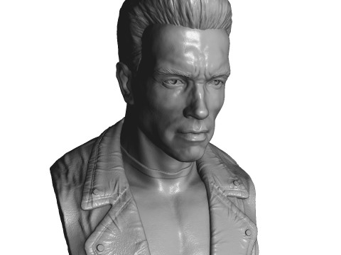 Arnold Schwarzenegger BUST for 3D printing STL 3Dプリントモデル