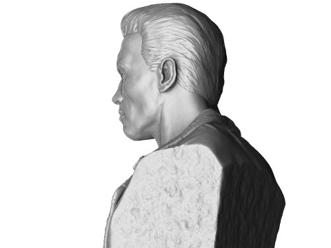 Arnold Schwarzenegger BUST for 3D printing STL 3Dプリントモデル