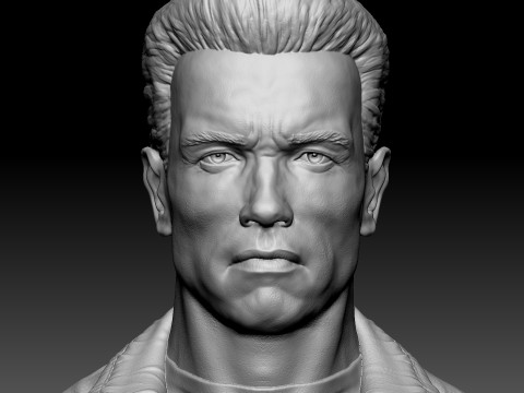 Arnold Schwarzenegger BUST for 3D printing STL 3Dプリントモデル
