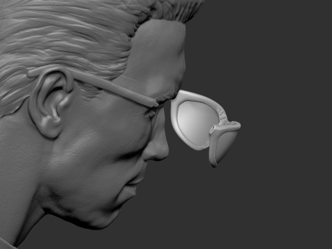 Arnold Schwarzenegger wearing glasses 2 glasses options BUST for 3D printing STL Model Cetak 3D