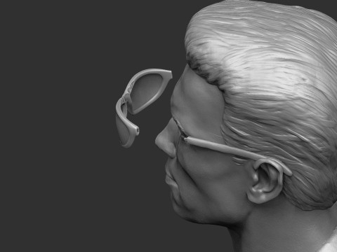 Arnold Schwarzenegger wearing glasses 2 glasses options BUST for 3D printing STL Model Cetak 3D