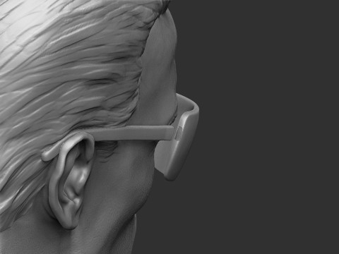 Arnold Schwarzenegger wearing glasses 2 glasses options BUST for 3D printing STL Model Cetak 3D