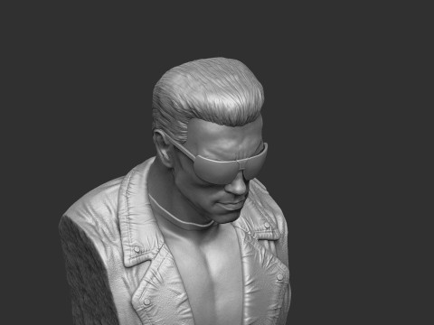 Arnold Schwarzenegger wearing glasses 2 glasses options BUST for 3D printing STL Model Cetak 3D