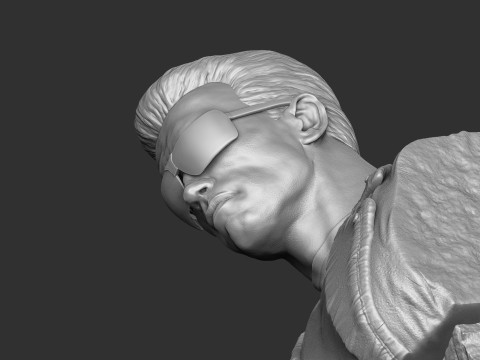 Arnold Schwarzenegger wearing glasses 2 glasses options BUST for 3D printing STL Model Cetak 3D