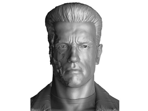 Terminator T-800 BUST 2 options for 3D printing STL 3D Print Model