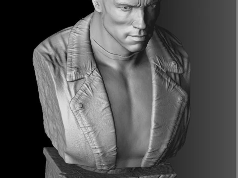 BUSTS SET OF 9 CHARACTERS for 3D printing STL 3D Print Model