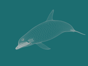 dolphin lowpoly 3Dモデル