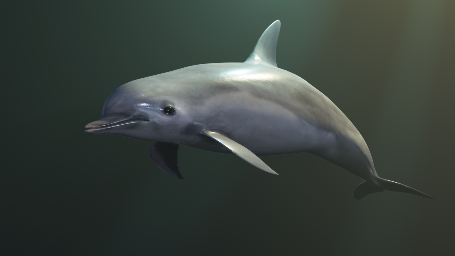 Длинномордый дельфин