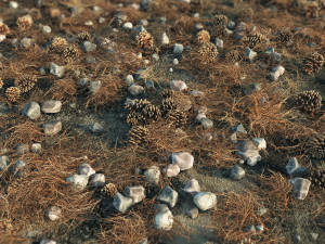 scatter - plant trees 3D 모델