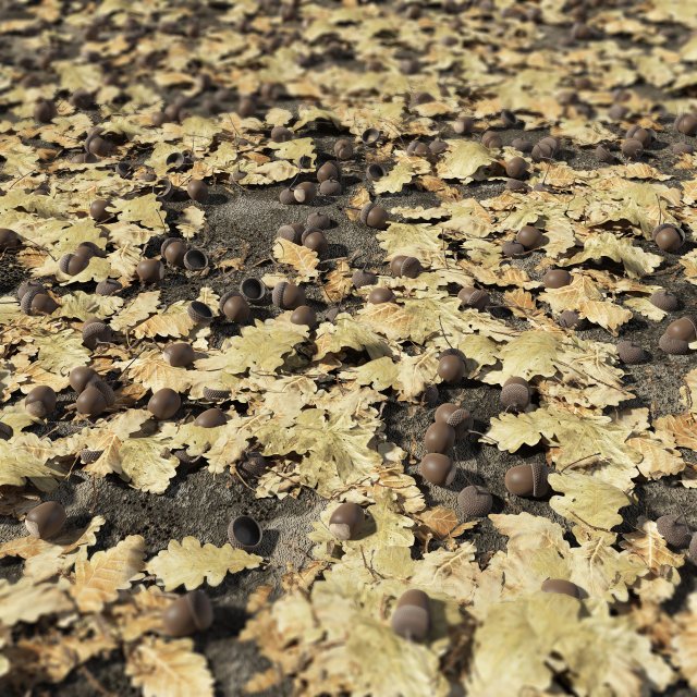 oak nuts and leaves 3Dモデル .c4d .max .obj .3ds .fbx .stl .blend 