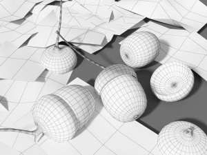 oak nuts and leaves 3Dモデル
