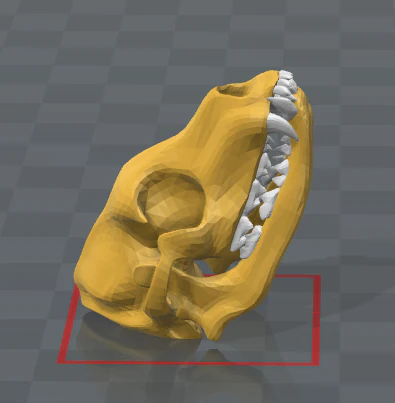 esqueleto de perro - dog skeleton 3D Print Model .c4d .max .obj .3ds .fbx .stl .blend 