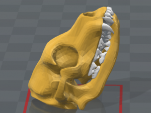 esqueleto de perro - dog skeleton 3D Print Model