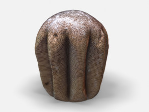 pandoro-photoscanned pbr Modelo 3D