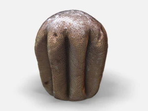 pandoro-photoscanned pbr 3D Model