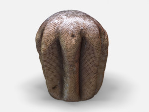 pandoro-photoscanned pbr Modelo 3D