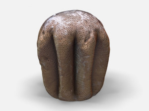 pandoro-photoscanned pbr Modelo 3D
