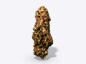 marijuana bud - photoscanned pbr Model 3D