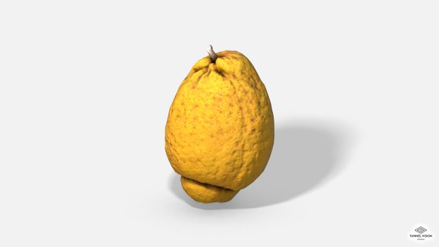 fruit citron - photoscanned pbr 3D Model .c4d .max .obj .3ds .fbx .stl .blend 
