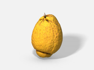fruit citron - photoscanned pbr 3Dモデル