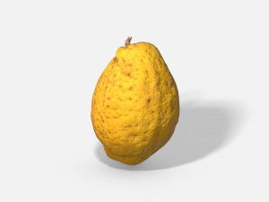 fruit citron - photoscanned pbr 3D Model