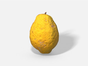 fruit citron - photoscanned pbr 3D Model