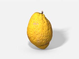 fruit citron - photoscanned pbr 3D Model