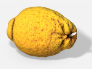 fruit citron - photoscanned pbr 3D Model