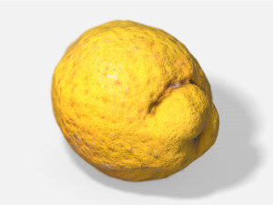 fruit citron - photoscanned pbr 3D Model
