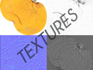 fruit citron - photoscanned pbr 3D Model