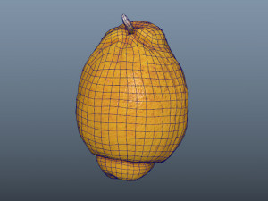 fruit citron - photoscanned pbr 3D Model