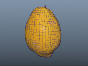 fruit citron - photoscanned pbr 3D Model