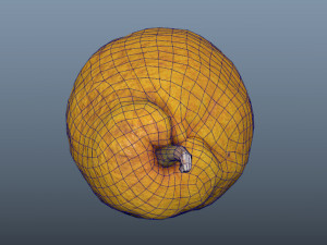 fruit citron - photoscanned pbr 3D Model