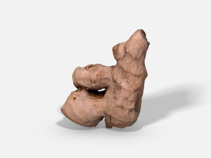 ginger root - photoscanned pbr 3D 모델