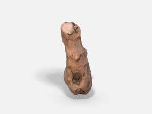 ginger root - photoscanned pbr 3D Model