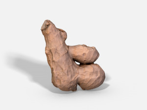 ginger root - photoscanned pbr 3D Model