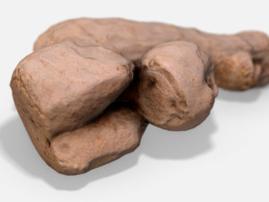 ginger root - photoscanned pbr 3D Model