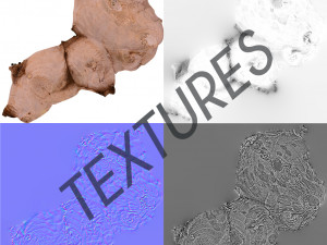 ginger root - photoscanned pbr 3D Model