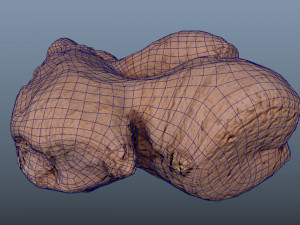 ginger root - photoscanned pbr 3D Model