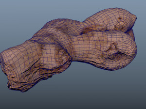 ginger root - photoscanned pbr 3D Model