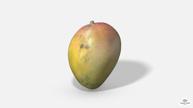 exotic fruit mango - photoscanned pbr 3D Model .c4d .max .obj .3ds .fbx .stl .blend 