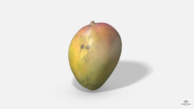 exotic fruit mango - photoscanned pbr 3D Model .c4d .max .obj .3ds .fbx .stl .blend 